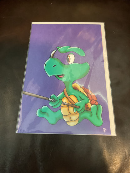 TMNT LAST RONIN LOST YEARS  #1-4 NM HEARD NEGATIVE VIRGIN VARIANT  SET LE 777🔥