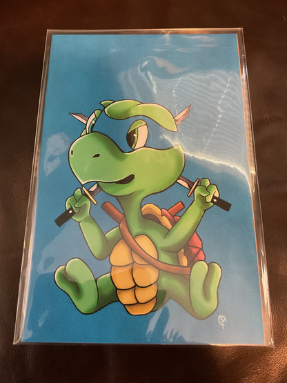 TMNT LAST RONIN LOST YEARS  #1-4 NM HEARD NEGATIVE VIRGIN VARIANT  SET LE 777🔥